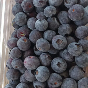 Dondurulmuş Yaban Mersini