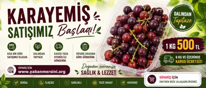 karayemis-banner