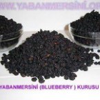 Yaban Mersini Kurusu