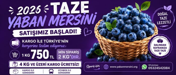 taze-yabanmersini-2026