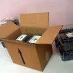 Taze Yaban Mersini Paketleme