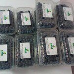 Taze  Yaban Mersini 500 Gram